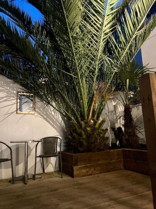 Brighton Palms Διαμέρισμα Εξωτερικό φωτογραφία