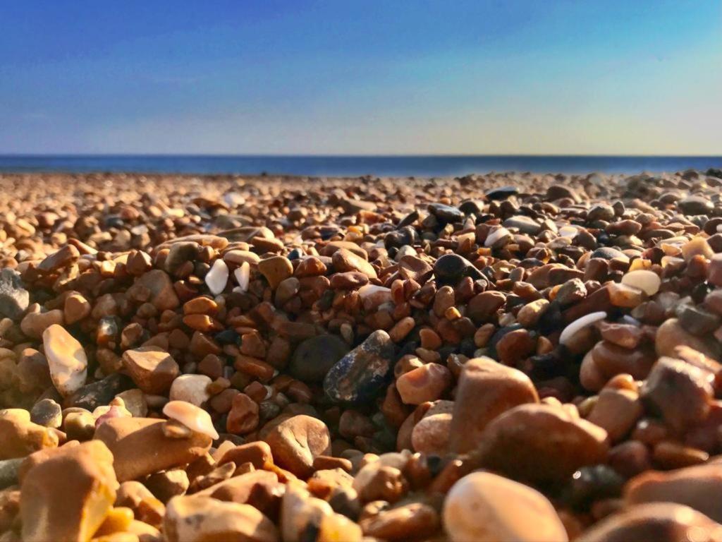 Brighton Palms Διαμέρισμα Εξωτερικό φωτογραφία